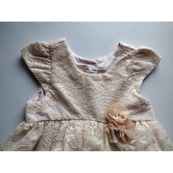 Mia & Mimi Champagne Gold Lace Dress 3T Toddler Girls Special Occasion Flower - Picture 3 of 6